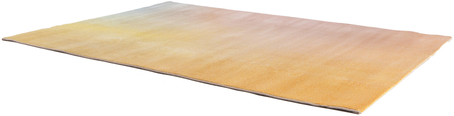 Teppich Caro Multicolore 200 X 290