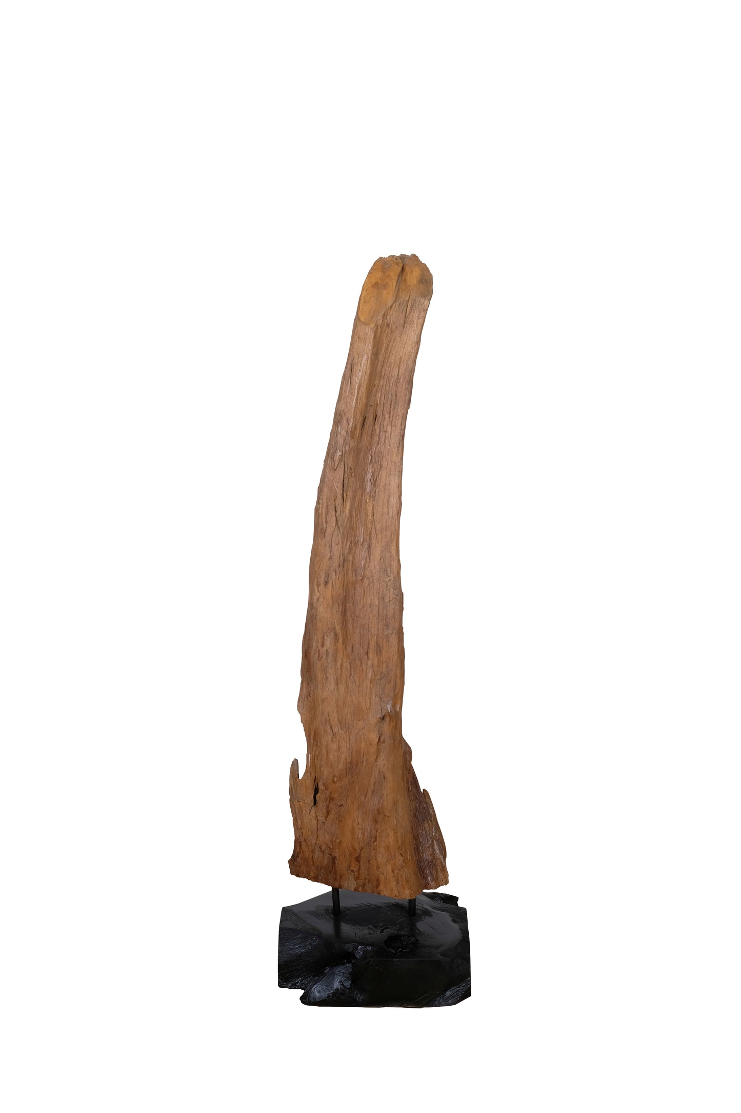 Treibholzskulptur 100 cm hoch Bodenplatte 30x30x10 cm
