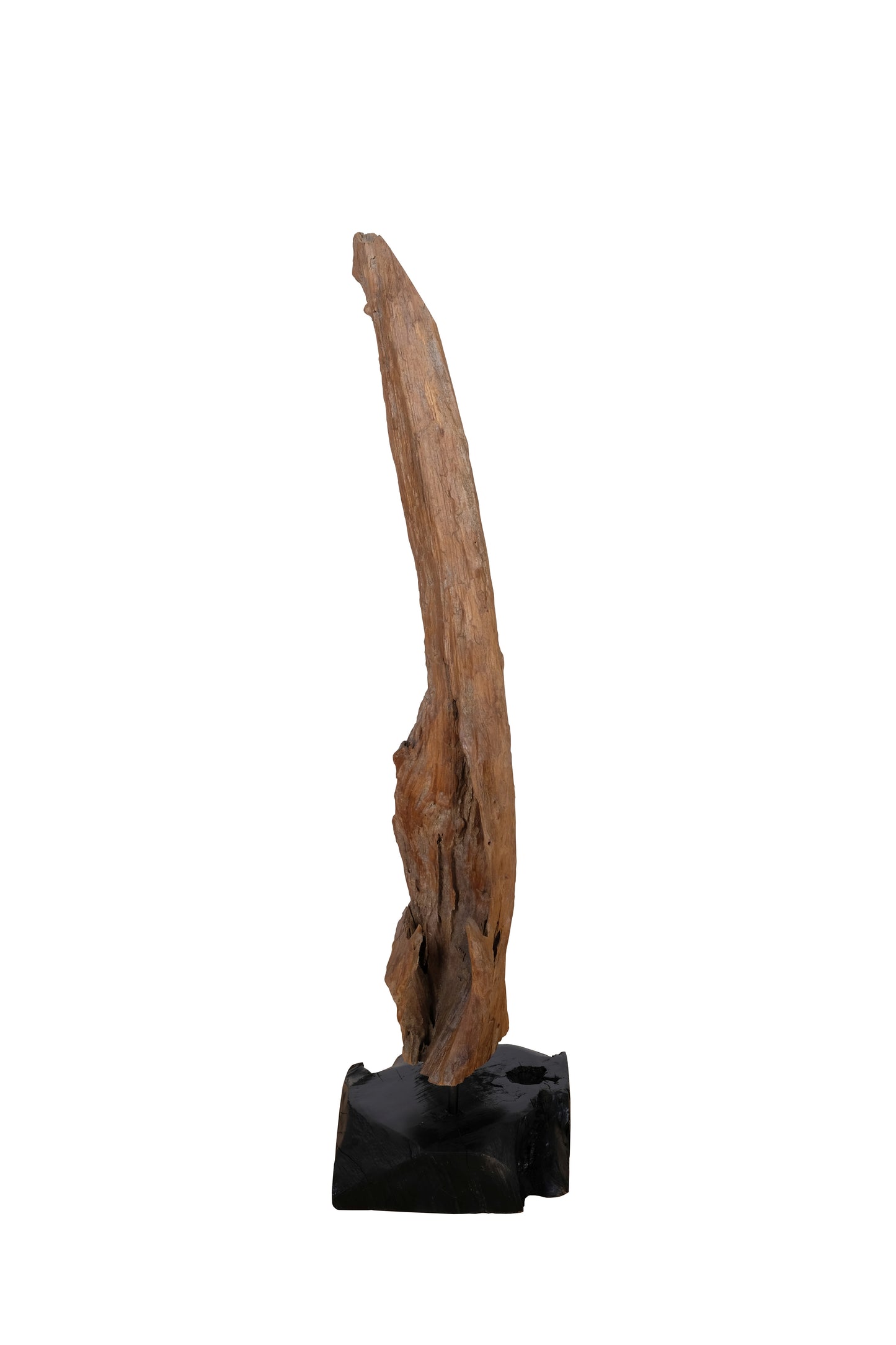 Treibholzskulptur 100 cm hoch Bodenplatte 30x30x10 cm