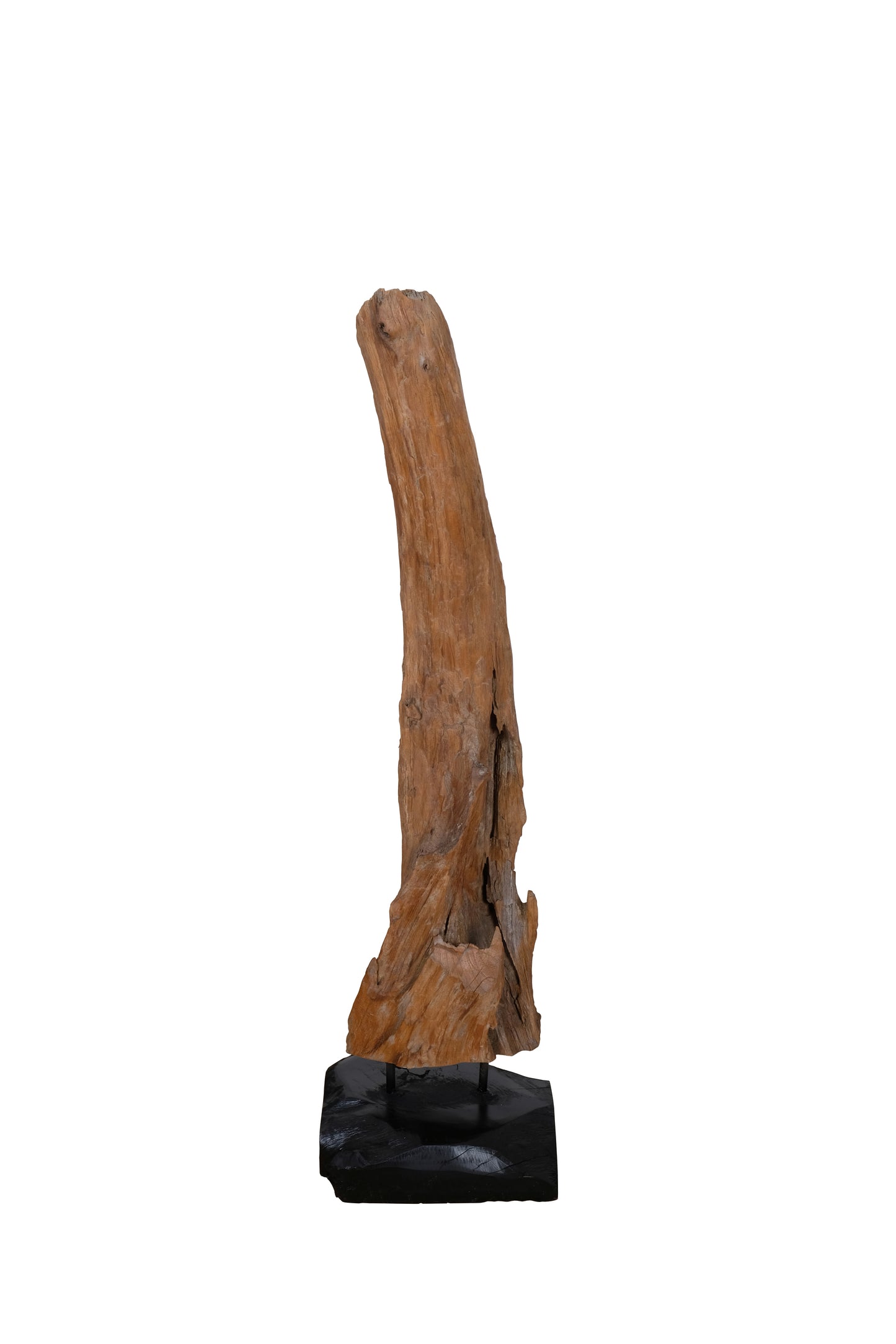 Treibholzskulptur 100 cm hoch Bodenplatte 30x30x10 cm