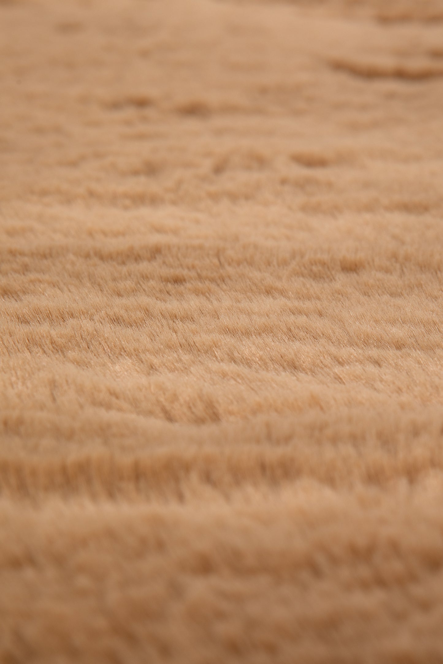 Teppich Eddy Camel 70 X 140
