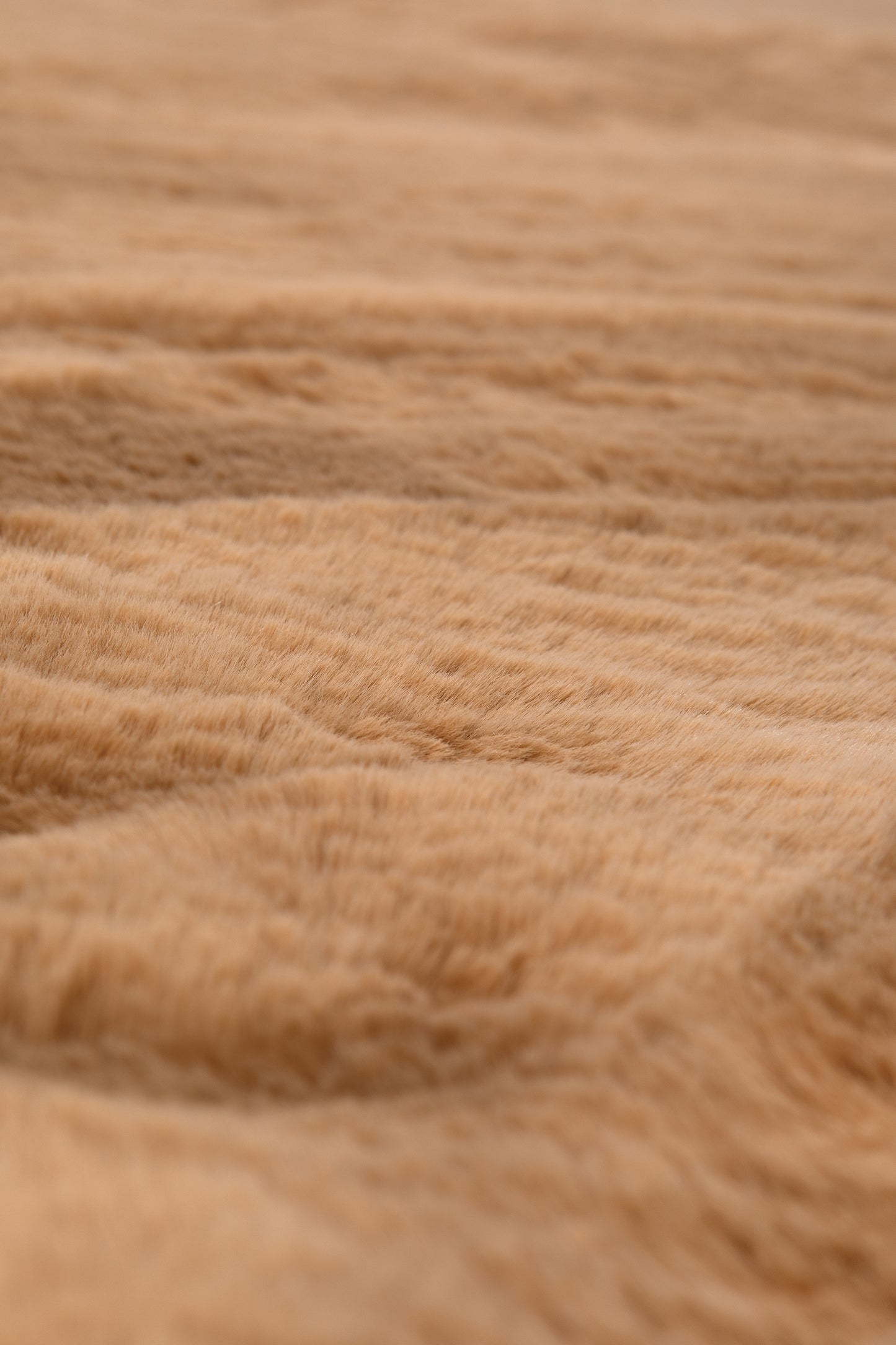 Teppich Eddy Camel 160 X 230
