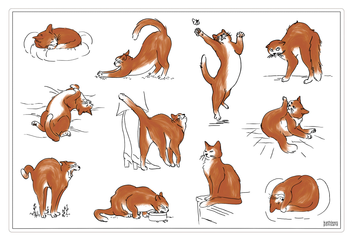 Tischset Journée du chat Assortis 30 X 45